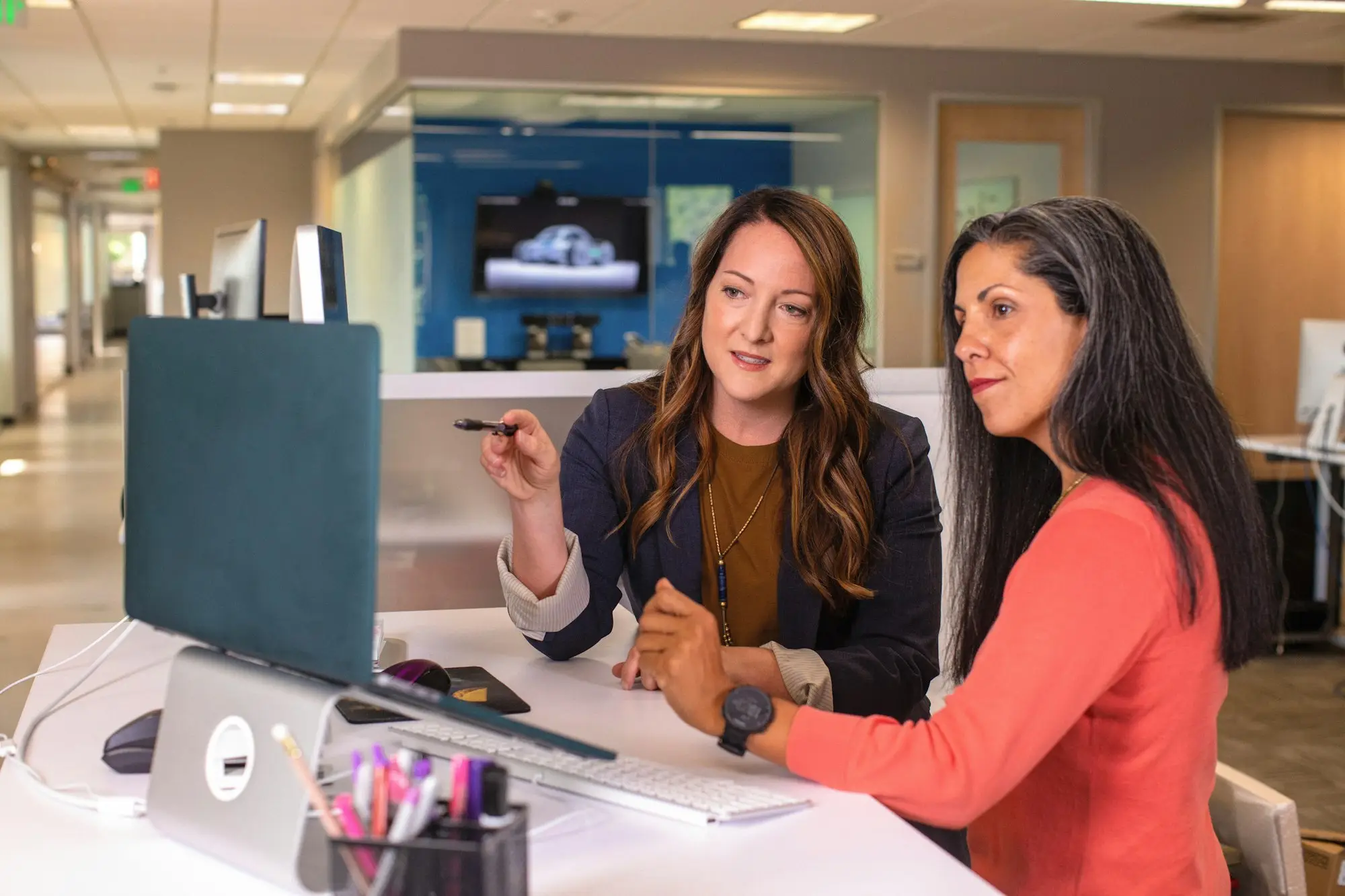 Business owner and adviser looking at a computer screen together