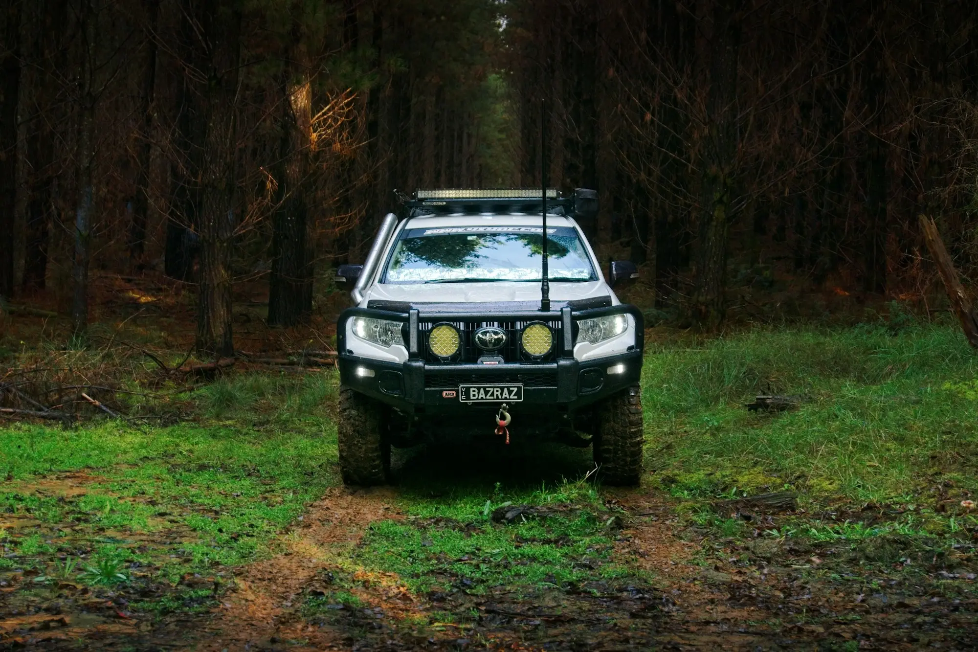 Work truck parked on a bush track among tall trees